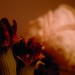 【サムネール画像】赤い花と白い花