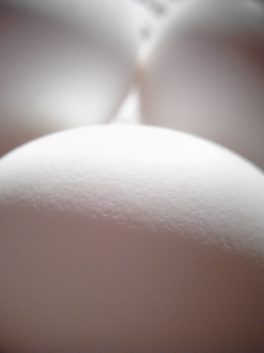 【画像】ポラデジ izone 550で撮影した卵4