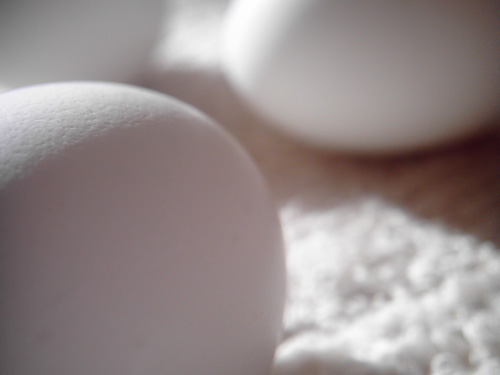 【画像】ポラデジ izone 550で撮影した卵5