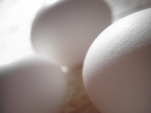【画像】ポラデジ izone 550で撮影した卵1
