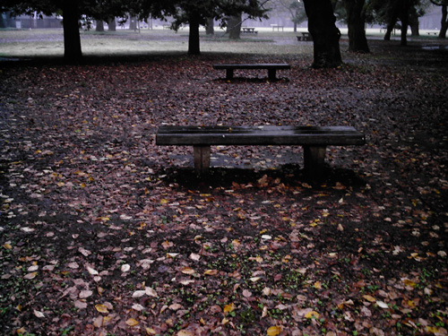 【画像】秋雨の中、公園のベンチをポラデジ izone 550で撮影