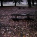 【サムネール画像】秋雨とベンチ